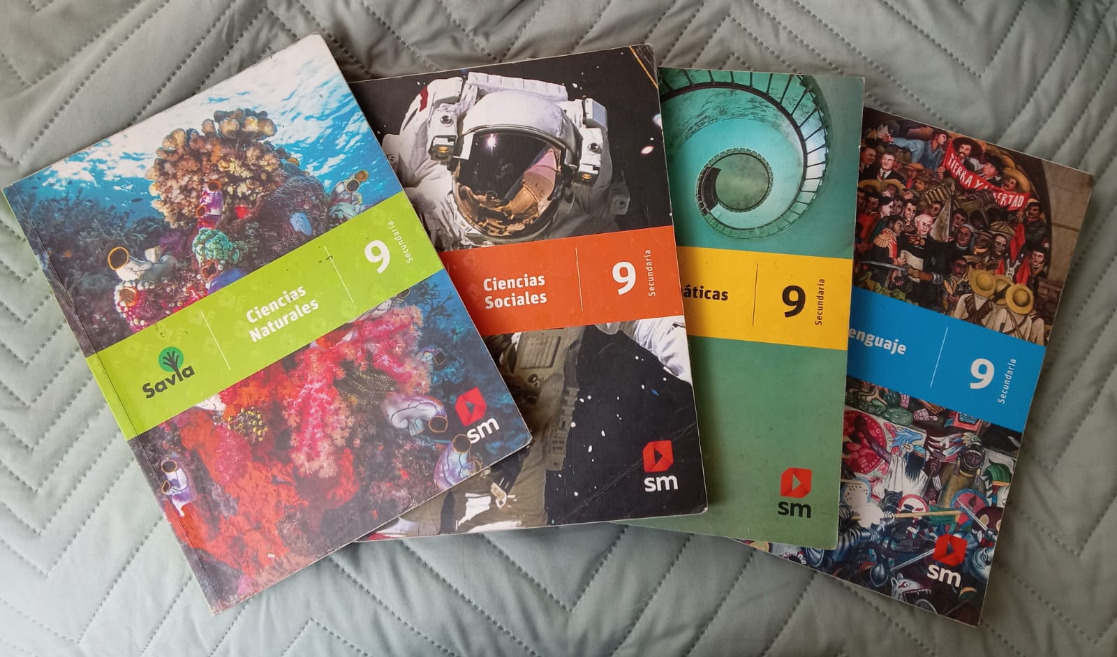 Libros escolares de lectura y producción escrita