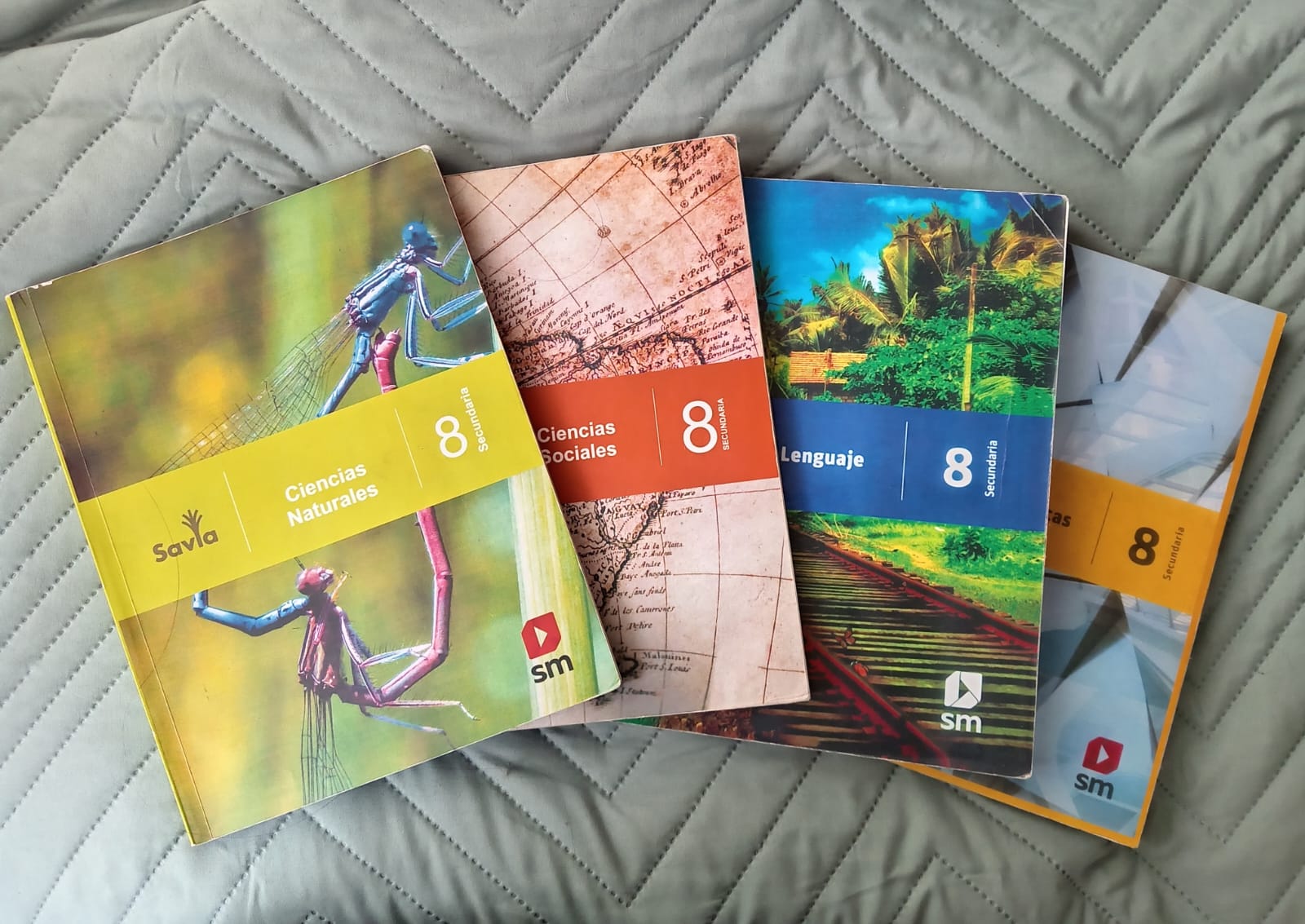 Libros escolares de lectura y producción escrita