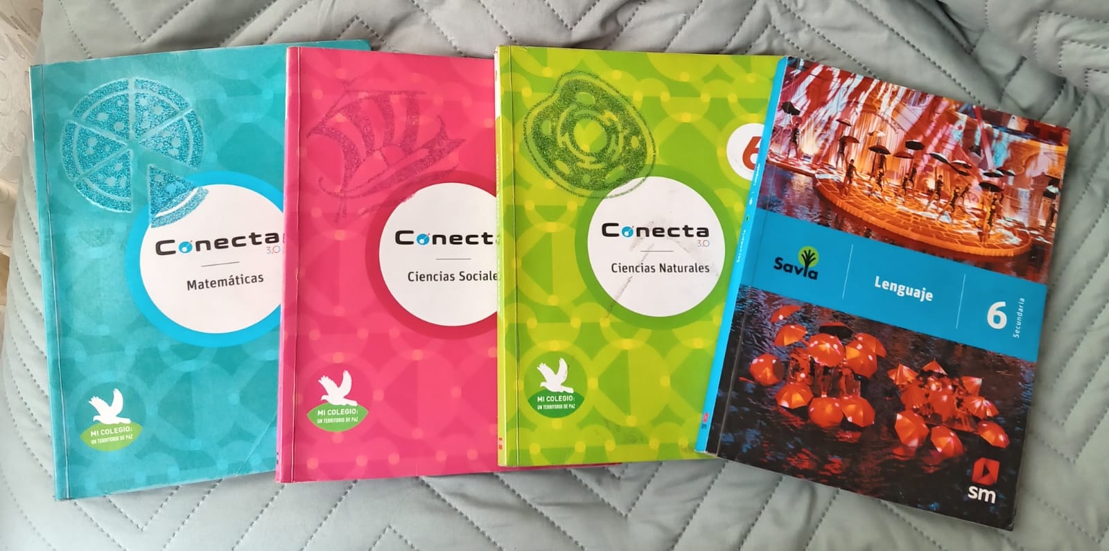 Libros escolares de lectura y producción escrita